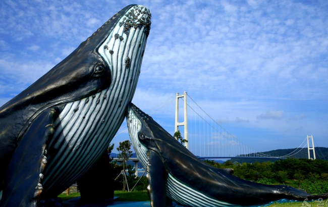 고래와 더불어 살아온 사람들, 고래를 문화 관광자원으로 만들다